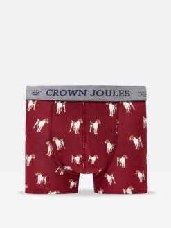 On All Fours Underwear 2 Pack -Clothing Store 115375s3