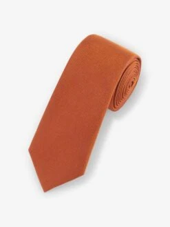 Rust Brown Silk Tie