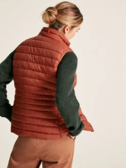 Clothing Store -Clothing Store C35985s2